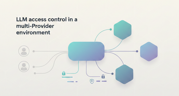 LLM access control in multi-provider environments